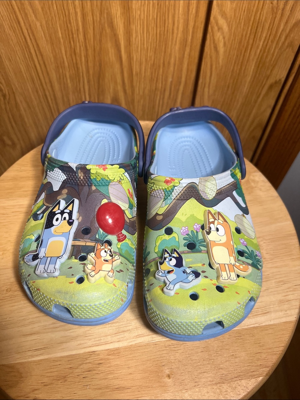 CROCS Blue & Green Kids Cartoon Clogs with Bluey Characters